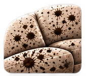 Illustration of a stained sofa